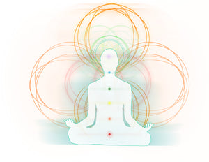 Open image in slideshow, White Light Reiki Master Class
